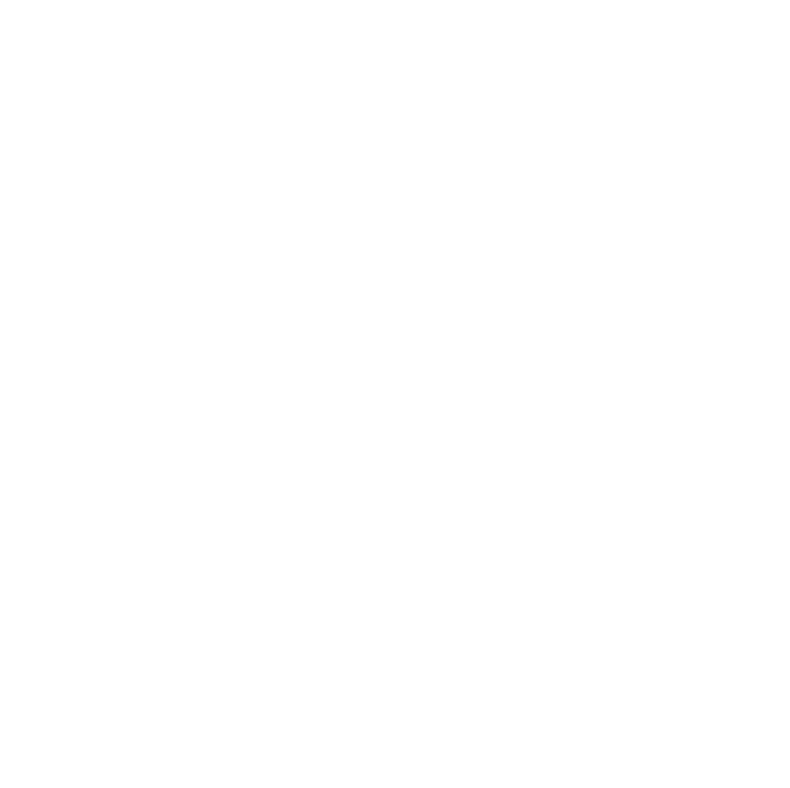 RavenBelt Logo white